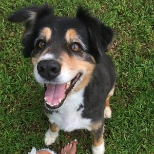 Meet your Posher, Erin